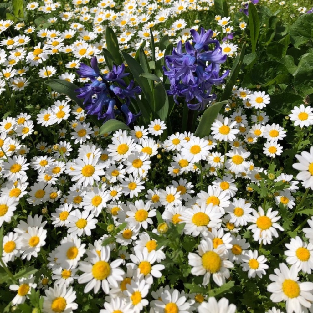 Welcome - Picture 9 of 14